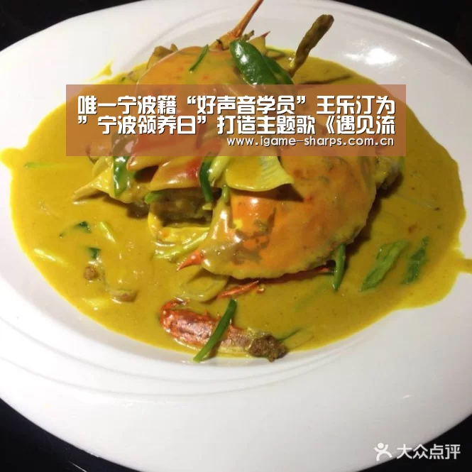 唯一宁波籍“好声音学员”王乐汀为”宁波领养日”打造主题歌《遇见流浪的你》上线‘AYX’