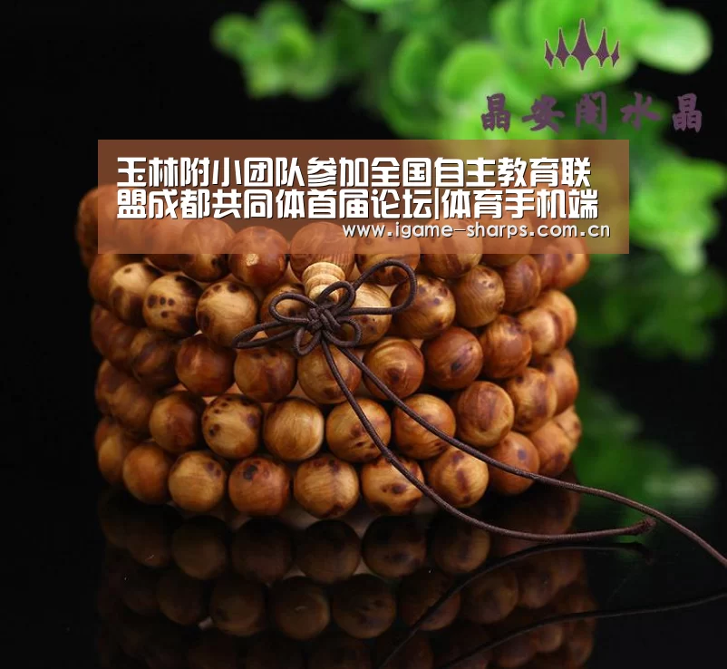 玉林附小团队参加全国自主教育联盟成都共同体首届论坛|体育手机端APP