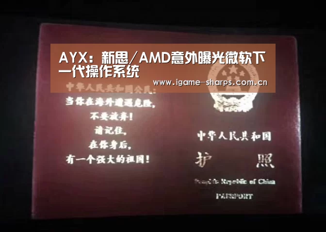 体育手机端APP