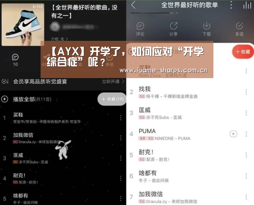 体育手机端APP