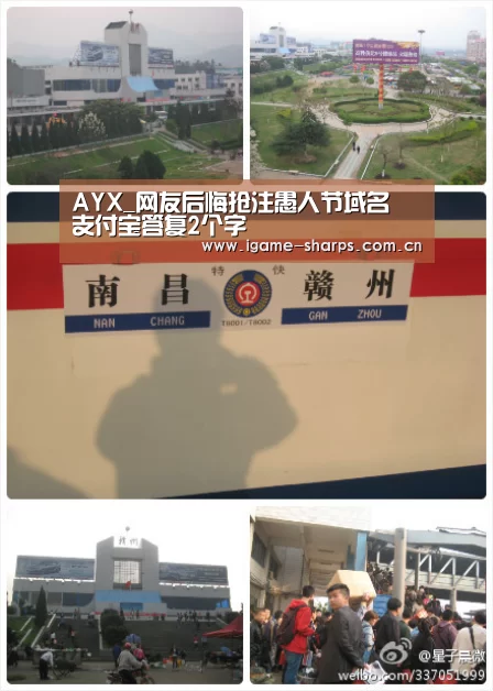 AYX_网友后悔抢注愚人节域名 支付宝答复2个字