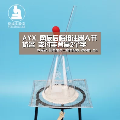 AYX_网友后悔抢注愚人节域名 支付宝答复2个字(图4) 体育手机端APP
