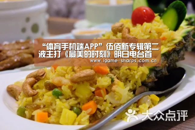 体育手机端APP