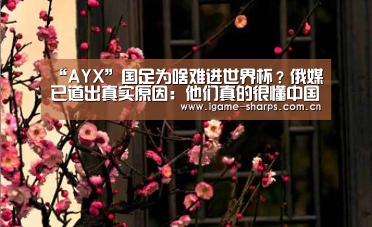 体育手机端APP