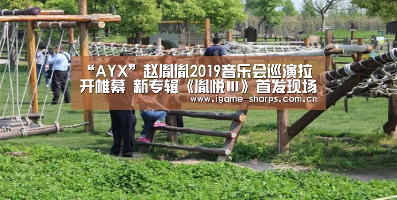 体育手机端APP