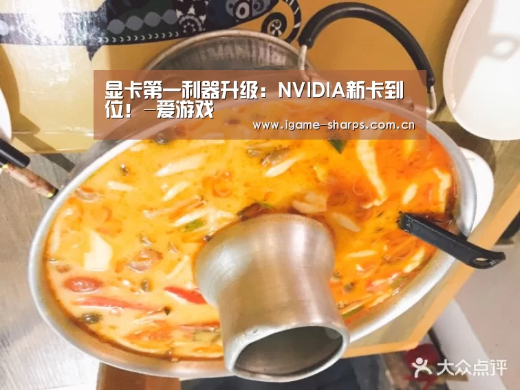 显卡第一利器升级：NVIDIA新卡到位！-爱游戏