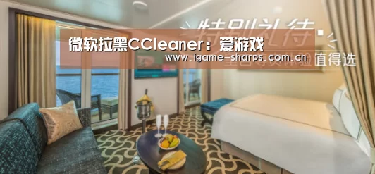 微软拉黑CCleaner:爱游戏(图2) 体育手机端APP