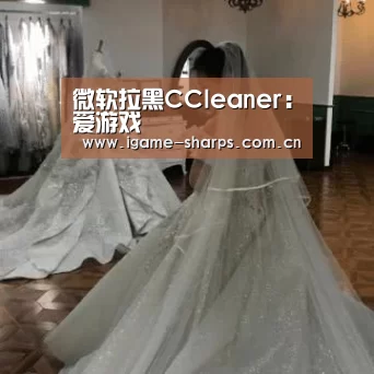 微软拉黑CCleaner：爱游戏