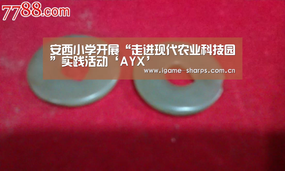 安西小学开展“走进现代农业科技园”实践活动‘AYX’(图2)